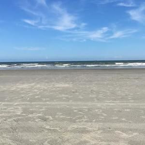 Meet your Posher, Alison